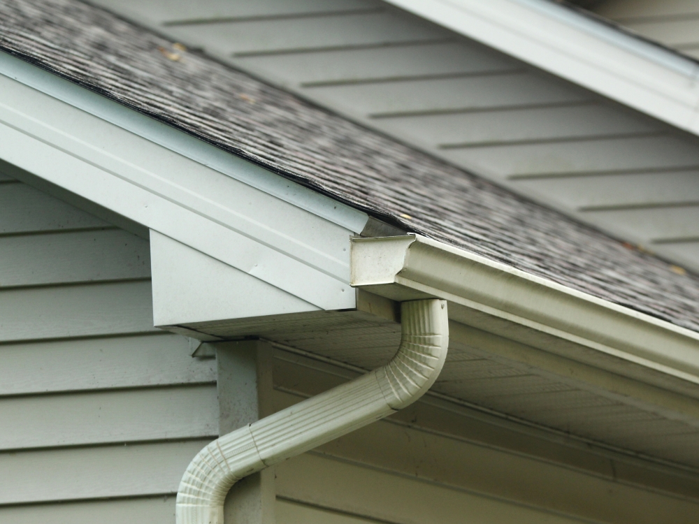 Gutter Soffit Repair about