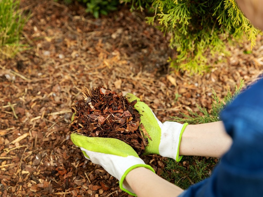 mulching service about