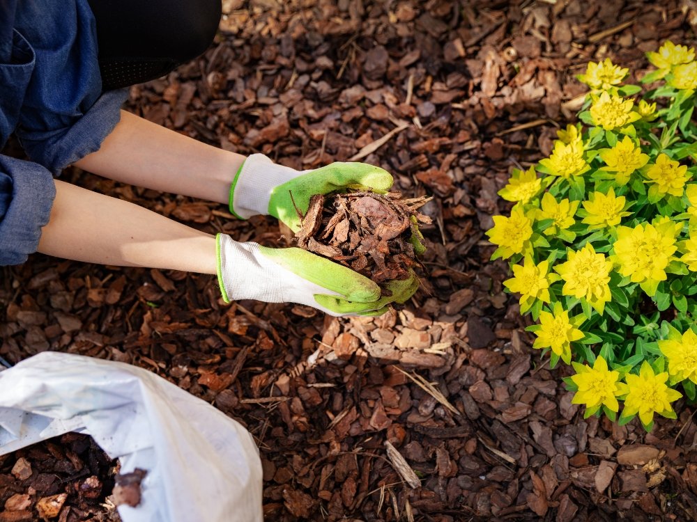 mulching service about