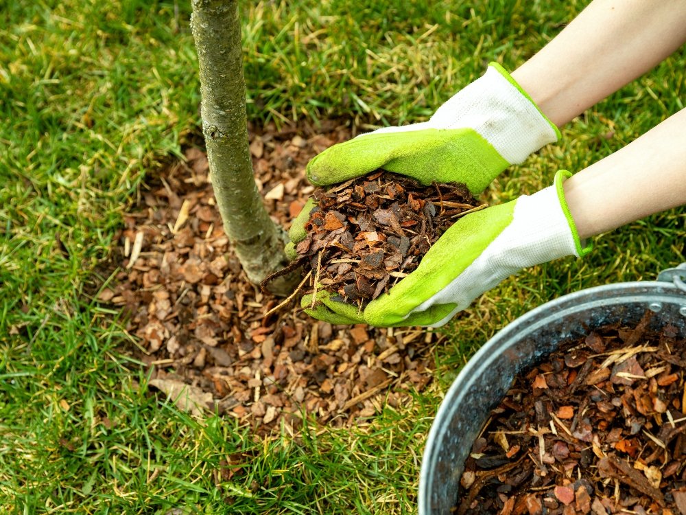 mulching service about