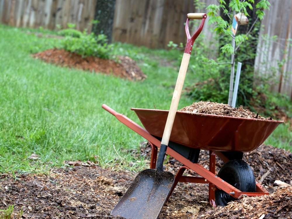 landscaping about