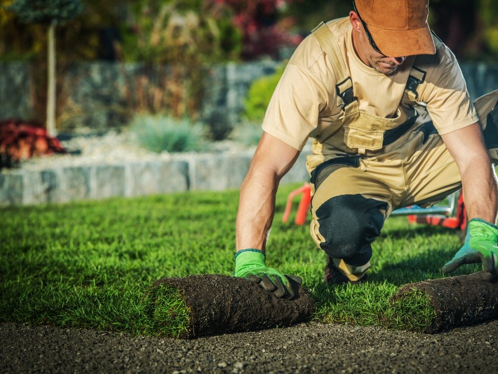 landscaping about