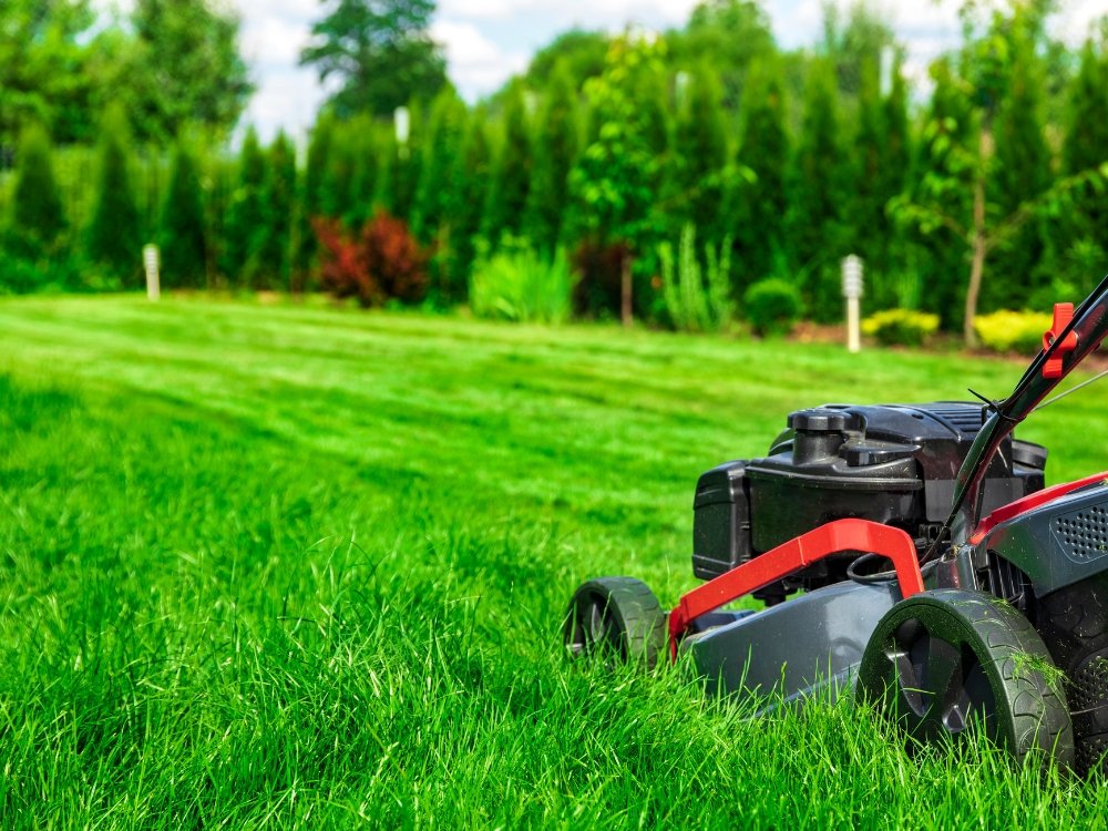 lawn moving about