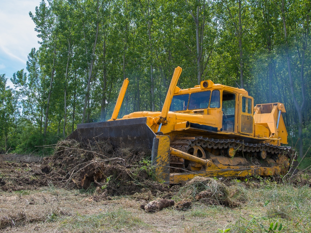Land Clearing service about