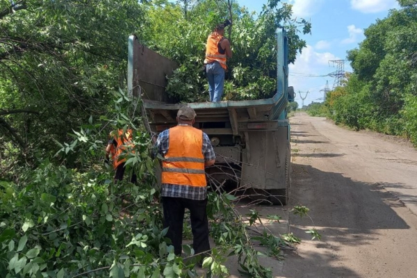 Vegetation Management about