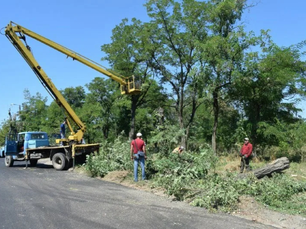 vegetation management about